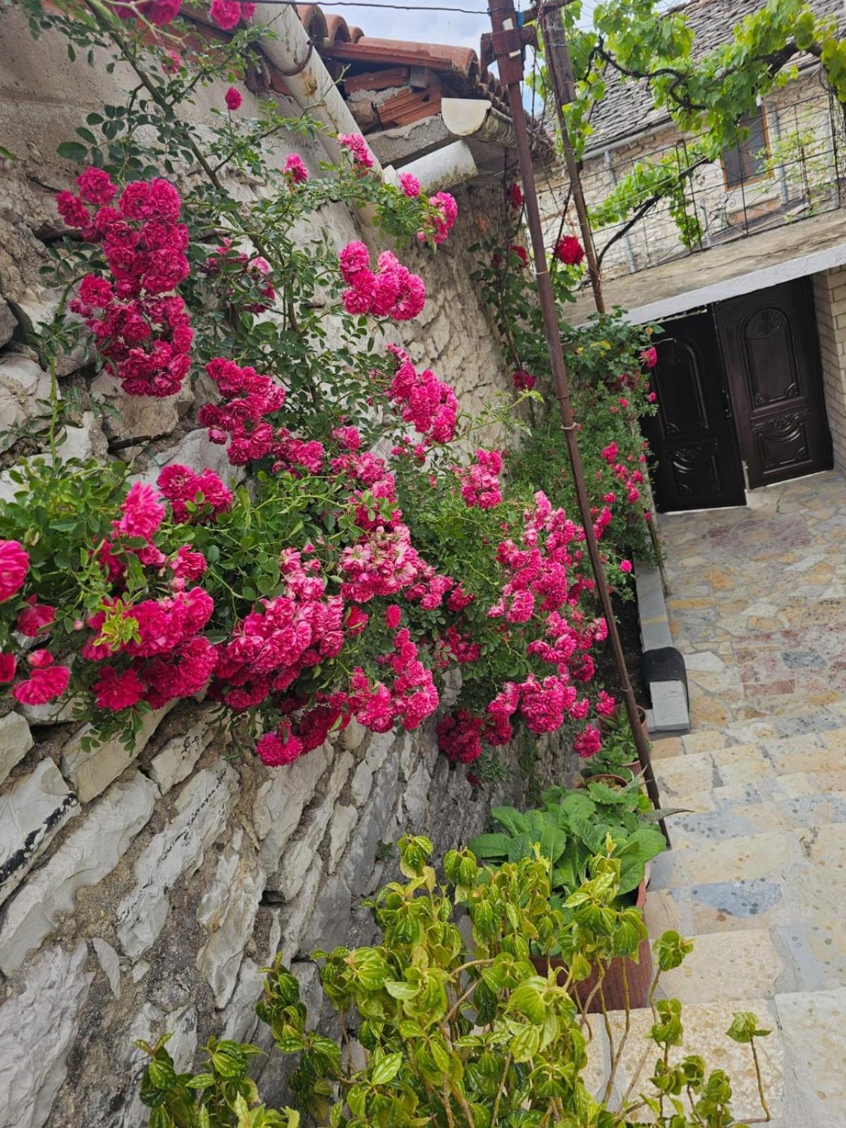 Luigi Guest House Gjirokastër 外观 照片