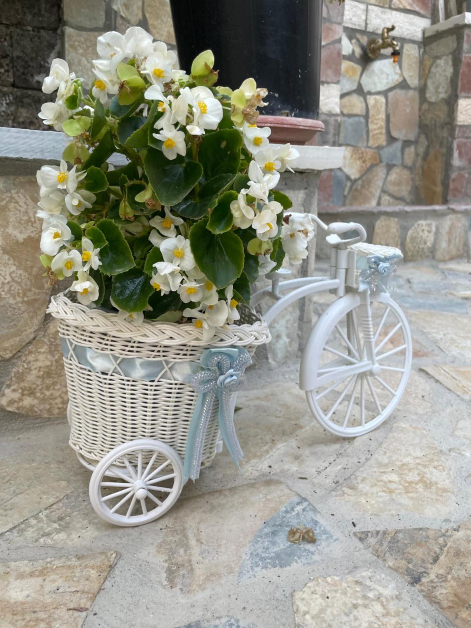 Luigi Guest House Gjirokastër 外观 照片